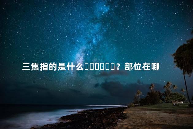 三焦指的是什么？部位在哪儿？